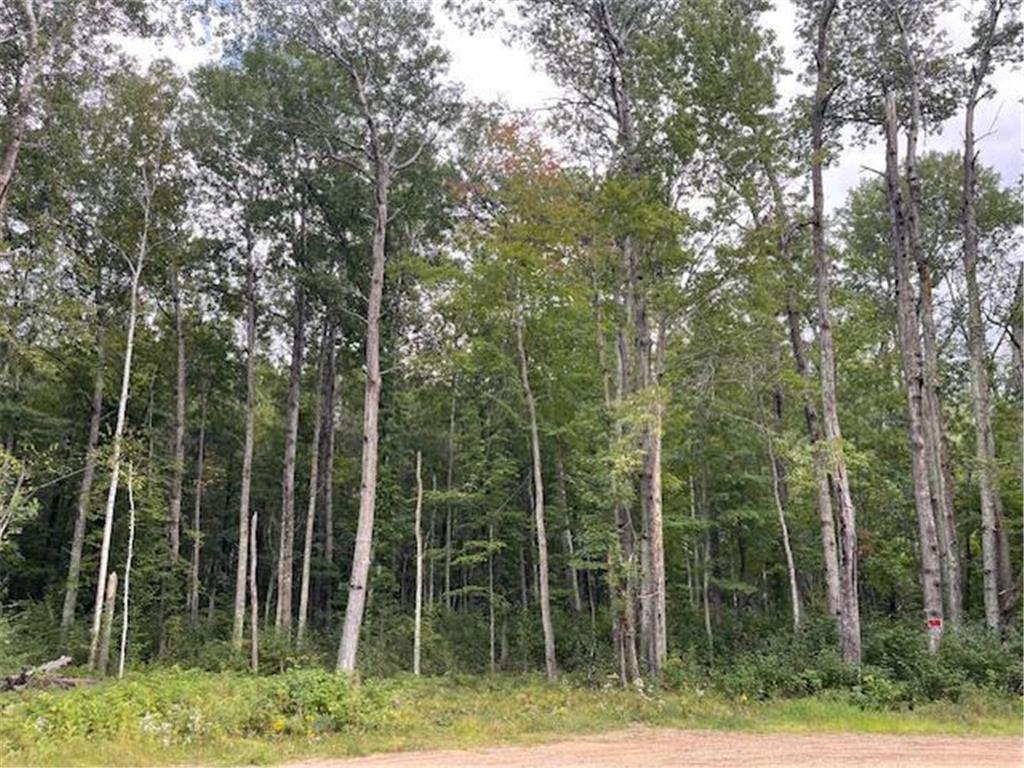0 Levi Lane Crosslake MN 56442 7020079 image3
