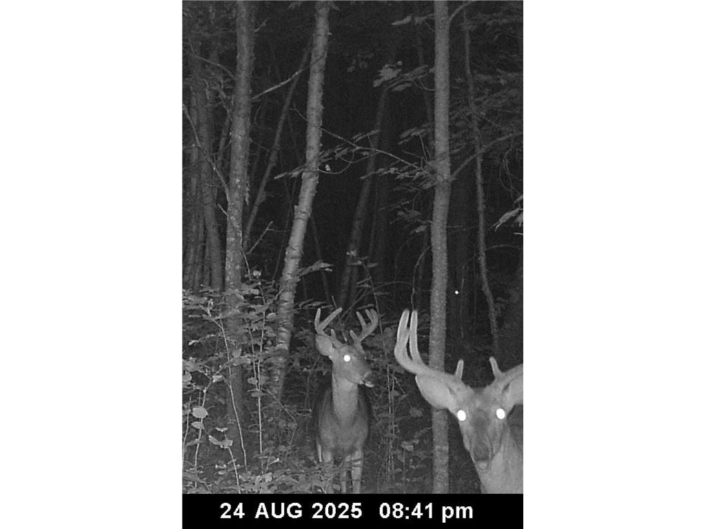 0 Levi Lane Crosslake MN 56442 7020079 image7