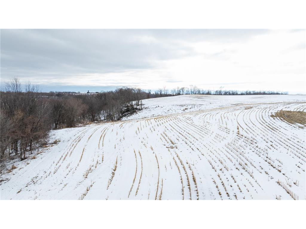 0 Maplewood Lane Belvidere Twp WI 54610 7040291 image17