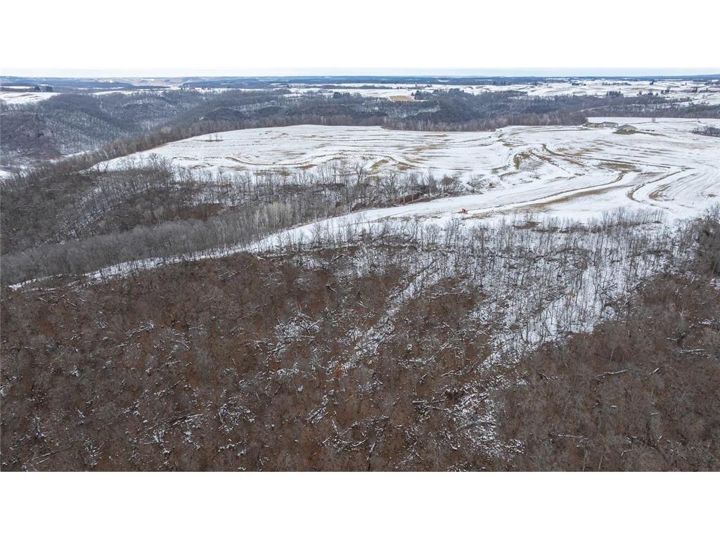 0 Maplewood Lane Belvidere Twp WI 54610 7040291 image6