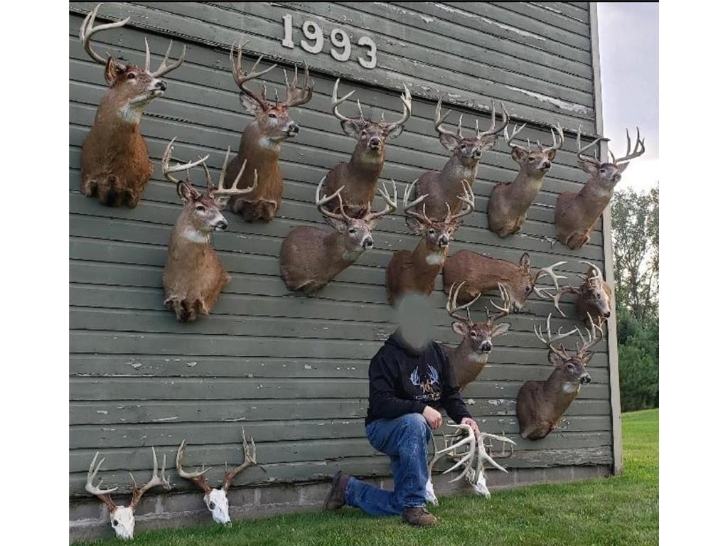 0 Mill Road Waumandee WI 54622 - Waumandee 6450749 image1