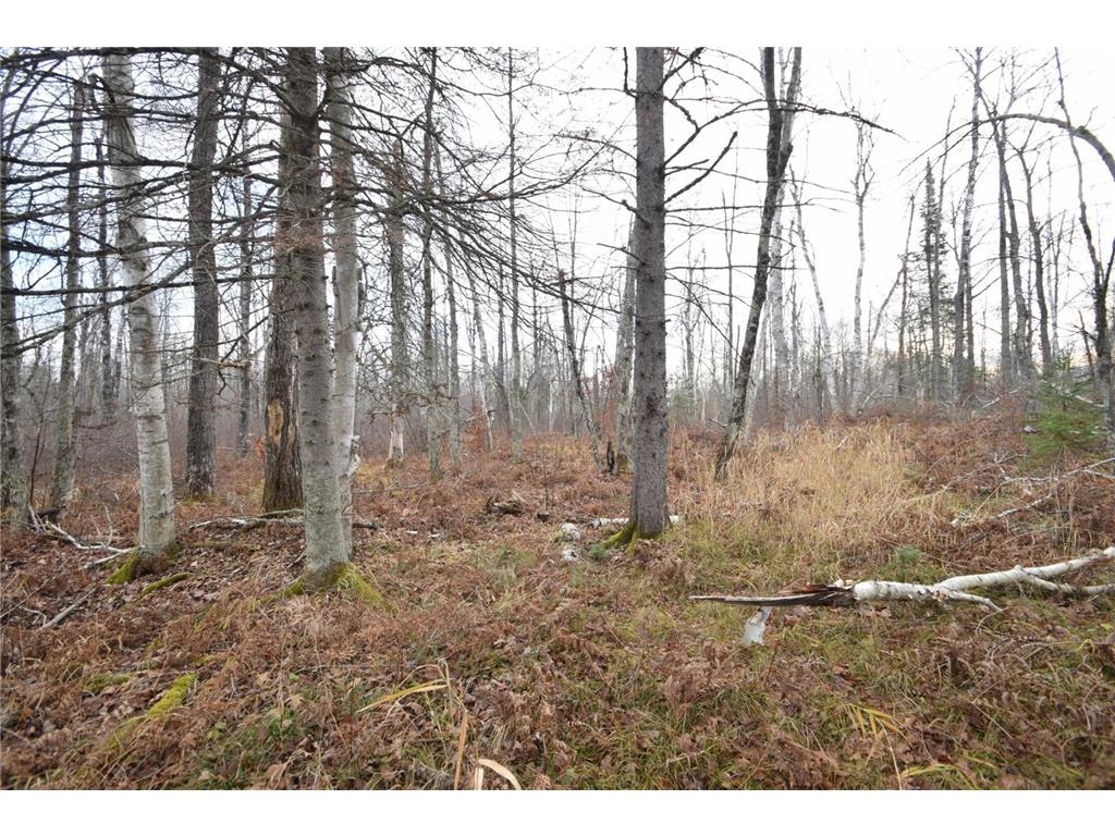 0 N Fire Lane Road Danbury WI 54830 6628433 image1