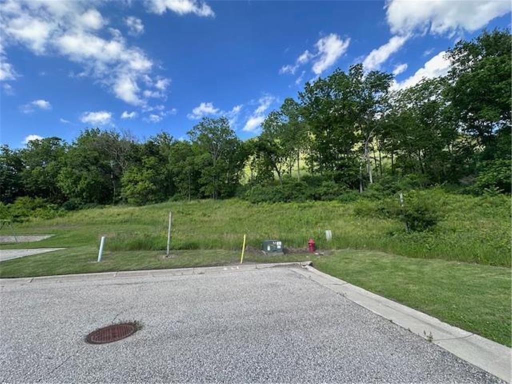 0 Novlan Avenue Rushford MN 55971 6651709 image4