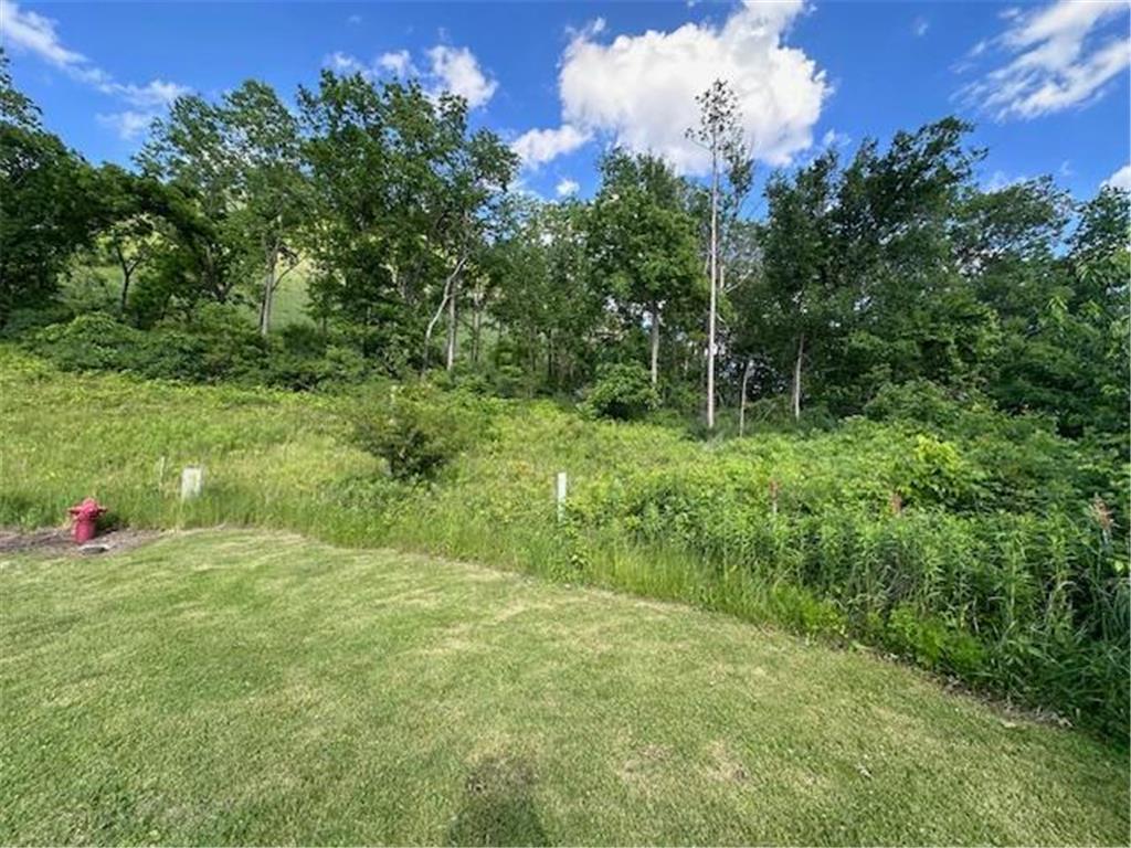 0 Novlan Avenue Rushford MN 55971 6651709 image5