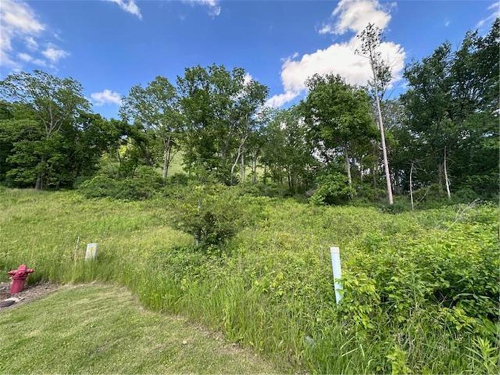 0 Novlan Avenue Rushford MN 55971 6651709 image7