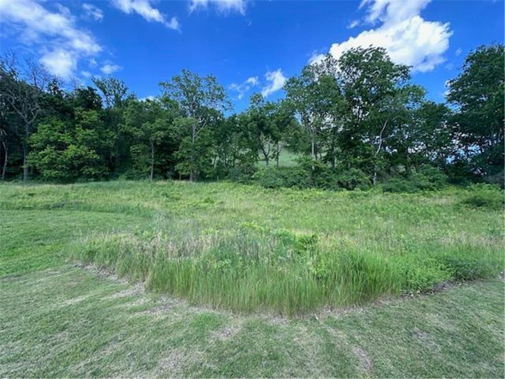 0 Novlan Avenue Rushford MN 55971 6651709 image8