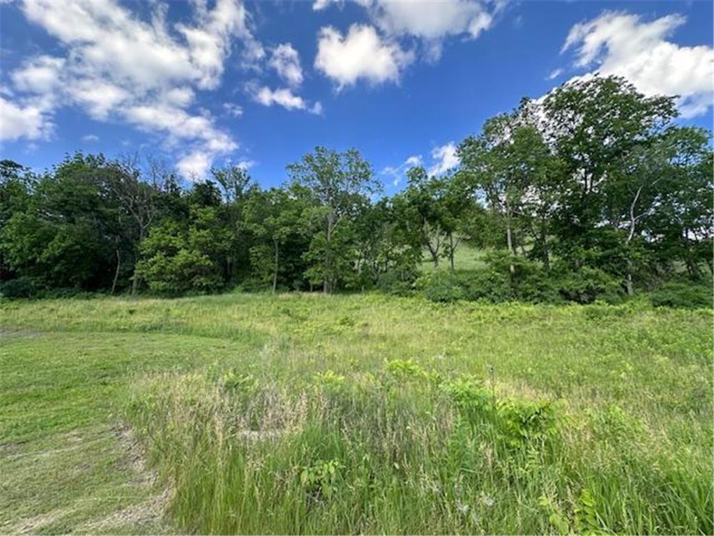 0 Novlan Avenue Rushford MN 55971 6651709 image9