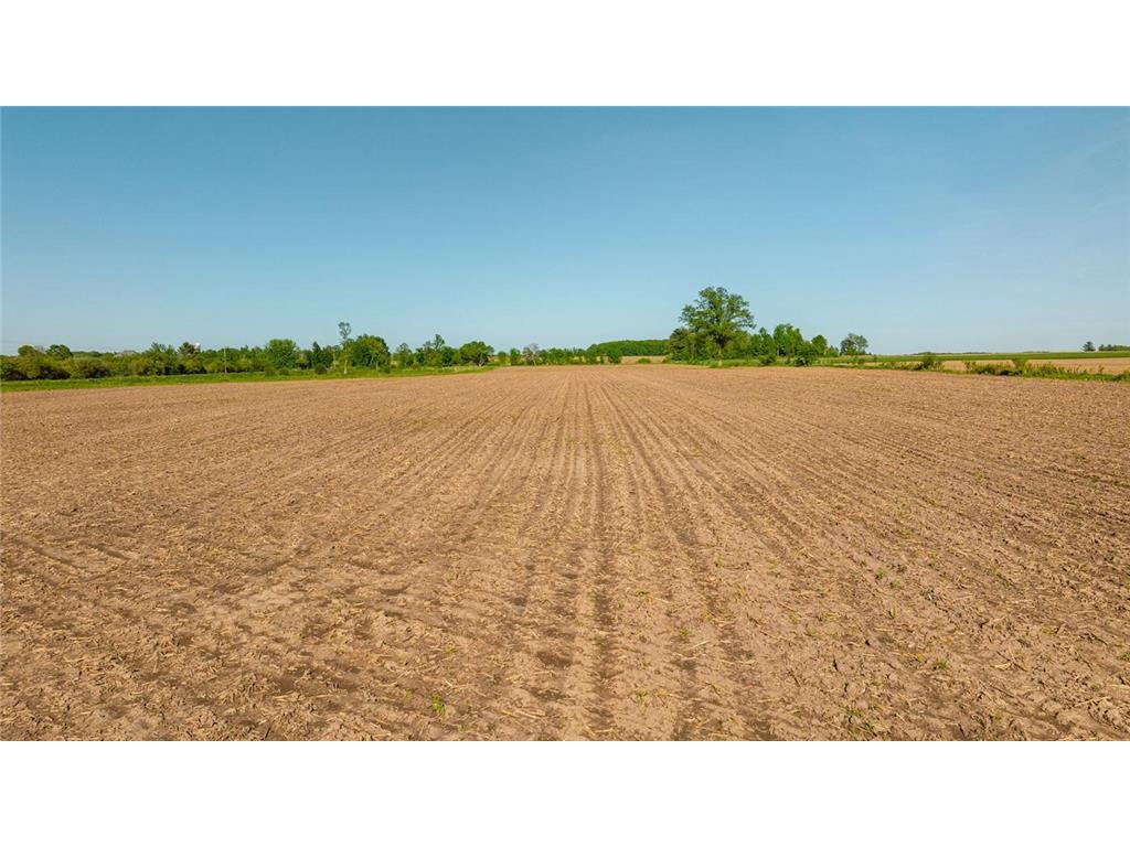 0 Nyes Road Thorp WI 54768 7085353 image16