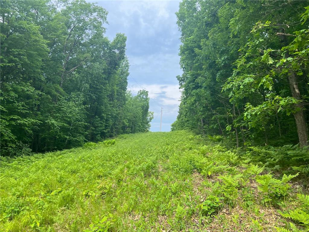 0 Oak Hill Road Trego WI 54888 6381281 image1