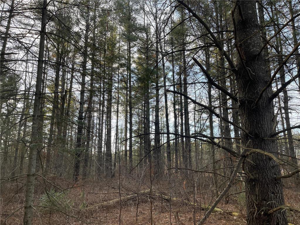 0 Old 14 Road True Twp WI 54526 6502192 image1