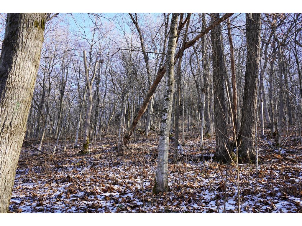 0 Owls Nest Road, Warren Twp, MN 55987 MLS 6314748 Edina Realty