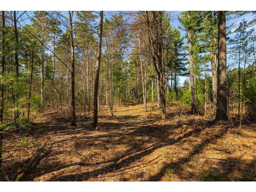0 Prairie Road E Unity Twp WI 54758 7059100 image10