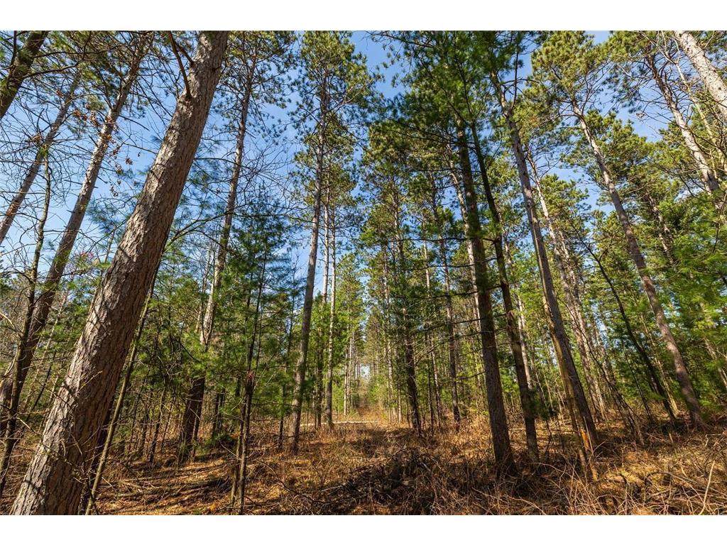0 Prairie Road E Unity Twp WI 54758 7059100 image12