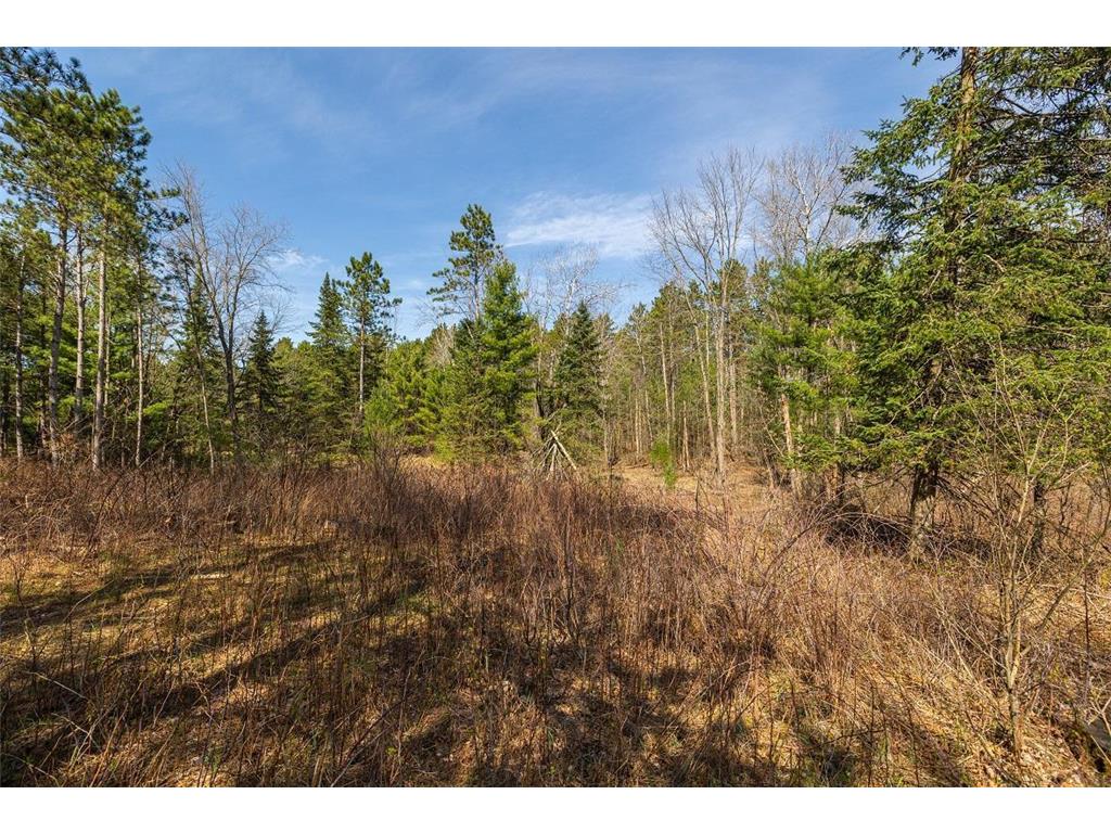 0 Prairie Road E Unity Twp WI 54758 7059100 image7