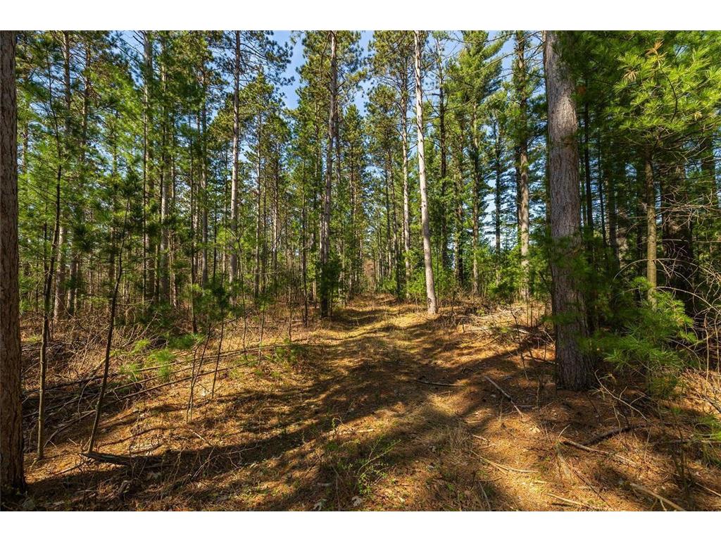 0 Prairie Road E Unity Twp WI 54758 7059100 image8