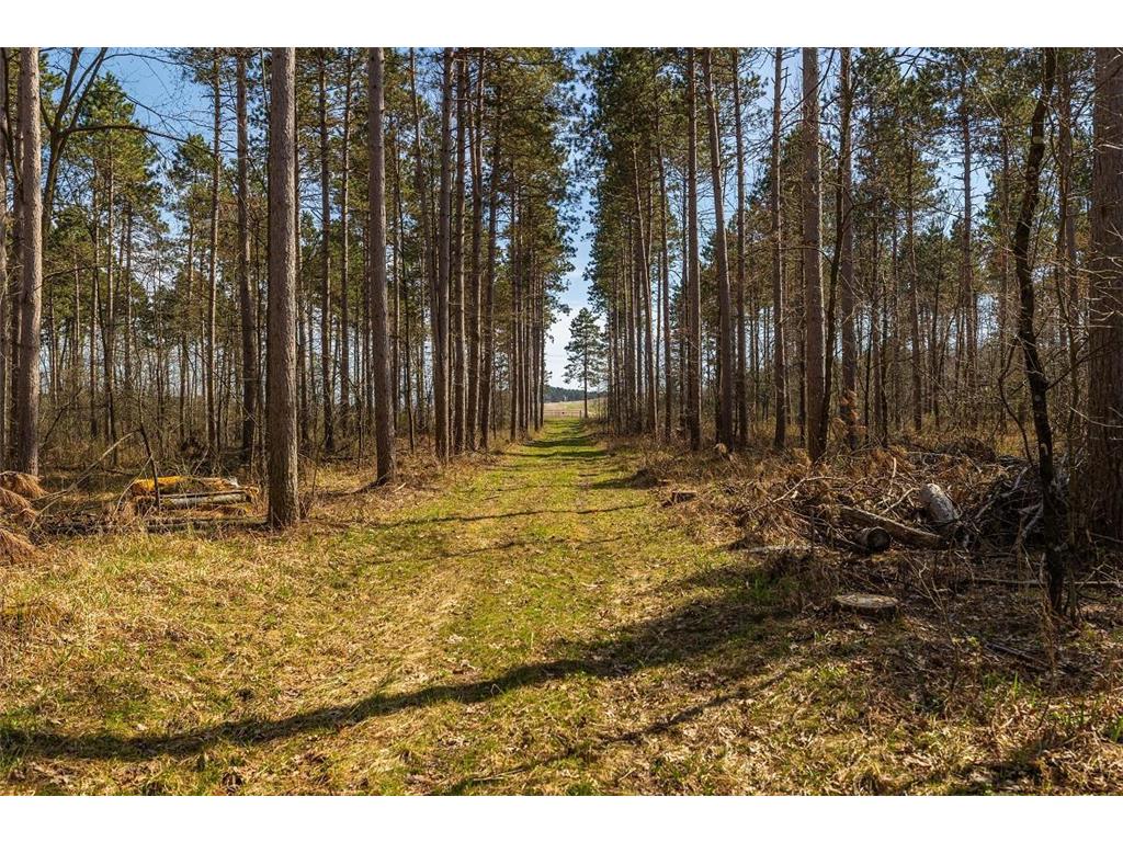 0 Prairie Road East Unity Twp WI 54758 7059090 image11