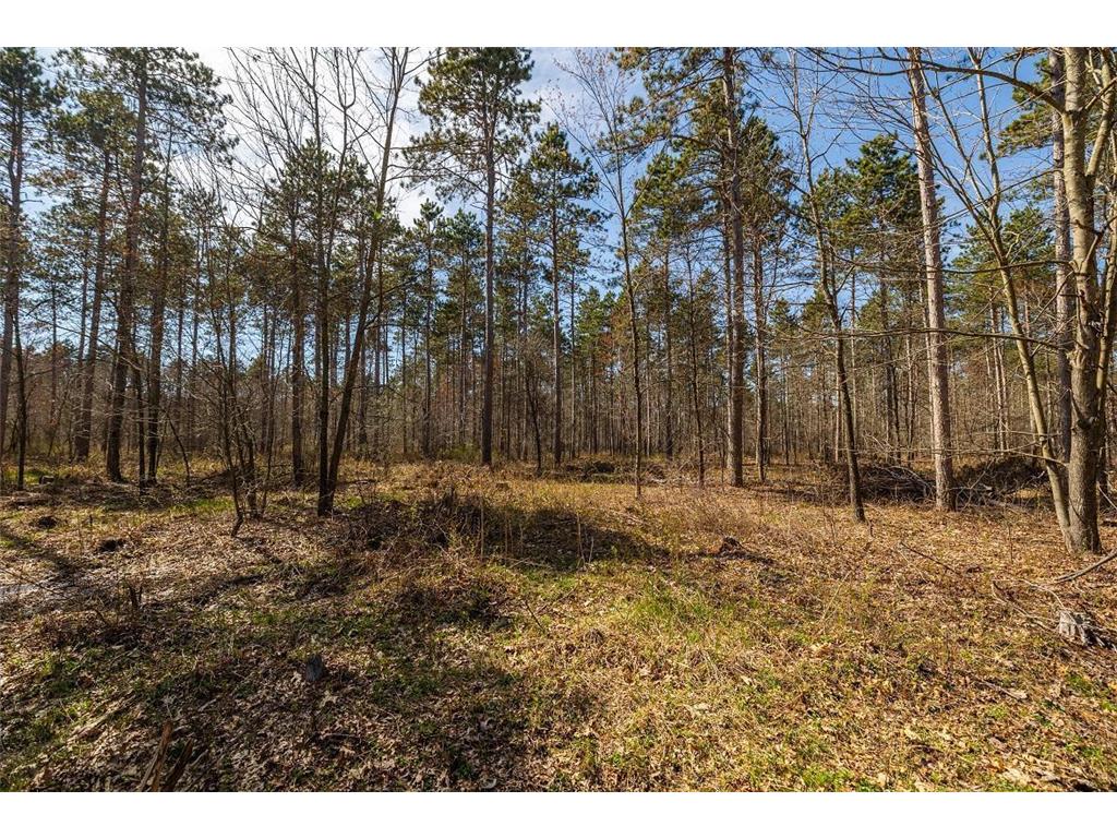 0 Prairie Road East Unity Twp WI 54758 7059090 image12