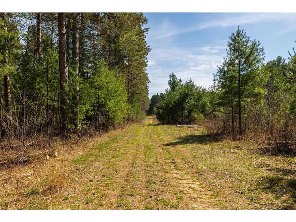 0 Prairie Road East Unity Twp WI 54758 7059090 image29