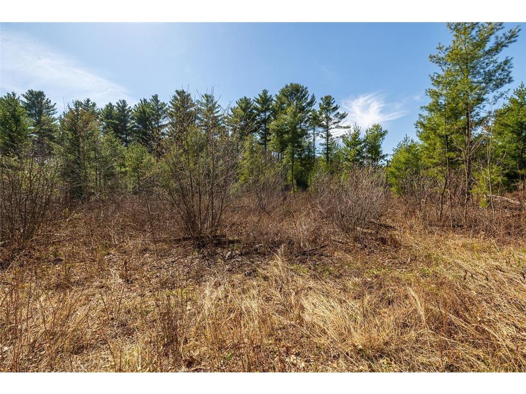 0 Prairie Road East Unity Twp WI 54758 7059090 image30