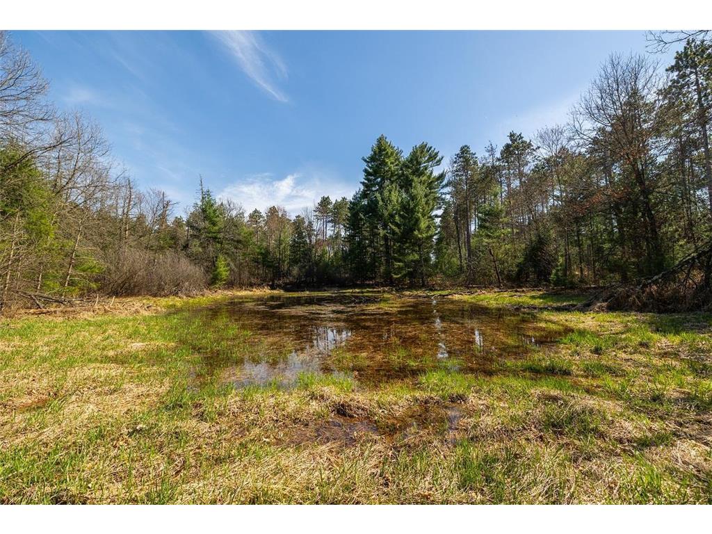 0 Prairie Road East Unity Twp WI 54758 7059090 image36