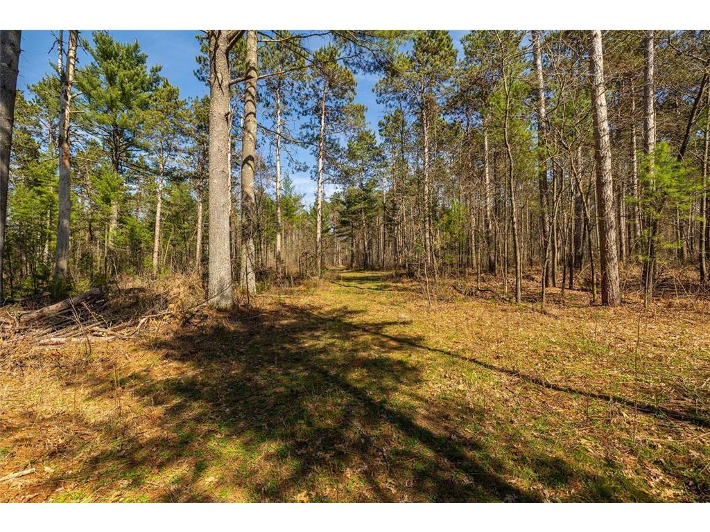 0 Prairie Road East Unity Twp WI 54758 7059090 image38