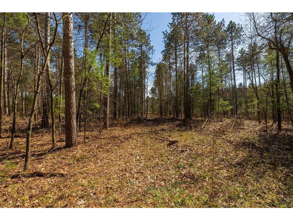 0 Prairie Road East Unity Twp WI 54758 7059090 image39