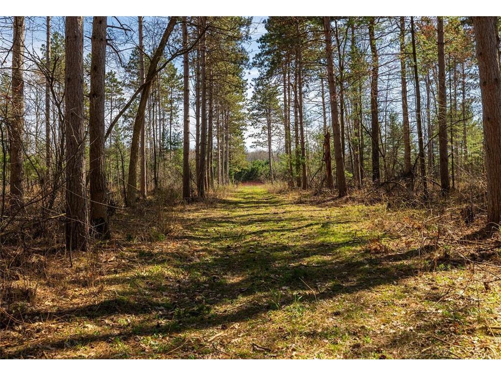 0 Prairie Road East Unity Twp WI 54758 7059090 image40