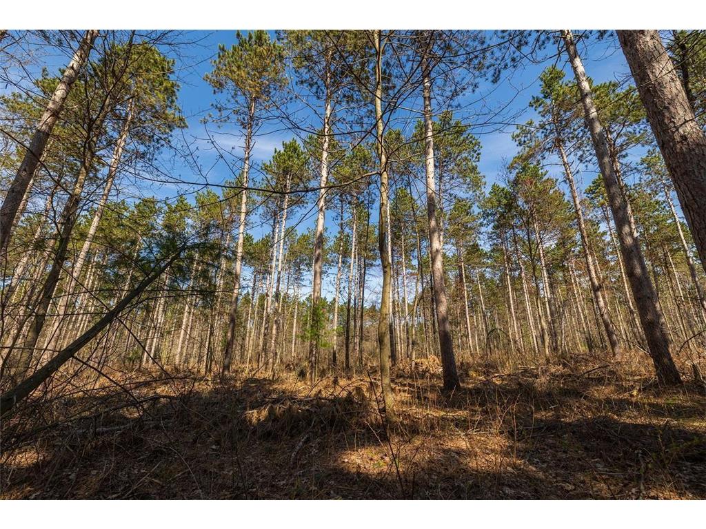 0 Prairie Road East Unity Twp WI 54758 7059090 image41