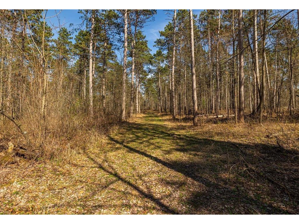 0 Prairie Road East Unity Twp WI 54758 7059090 image42