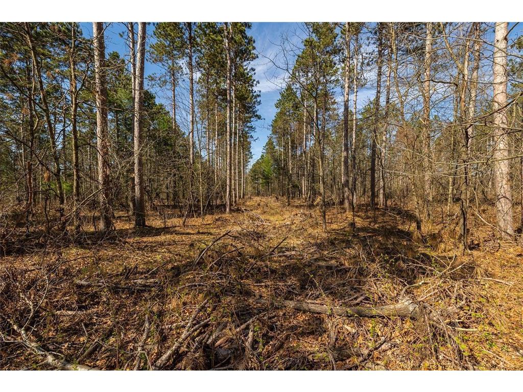0 Prairie Road East Unity Twp WI 54758 7059090 image43