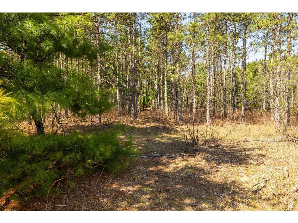 0 Prairie Road East Unity Twp WI 54758 7059090 image58