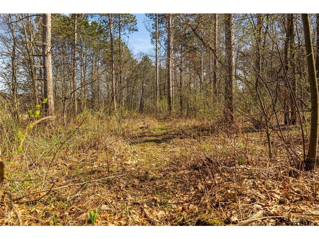 0 Prairie Road East Unity Twp WI 54758 7059090 image6