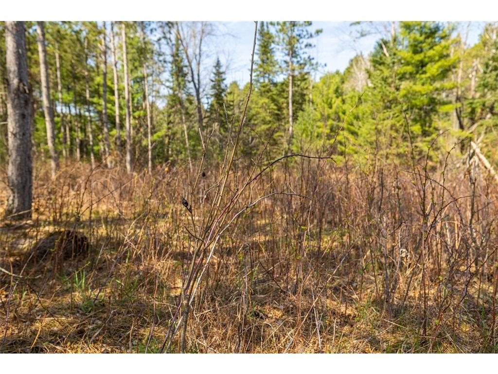 0 Prairie Road East Unity Twp WI 54758 7059090 image60