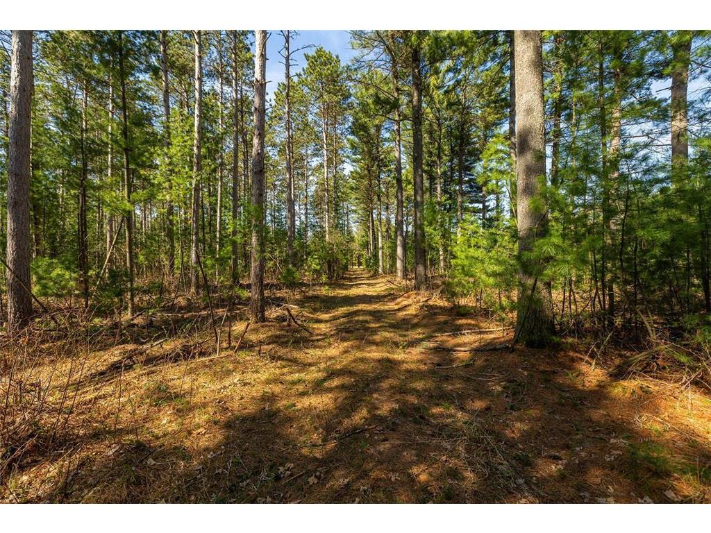 0 Prairie Road East Unity Twp WI 54758 7059090 image63