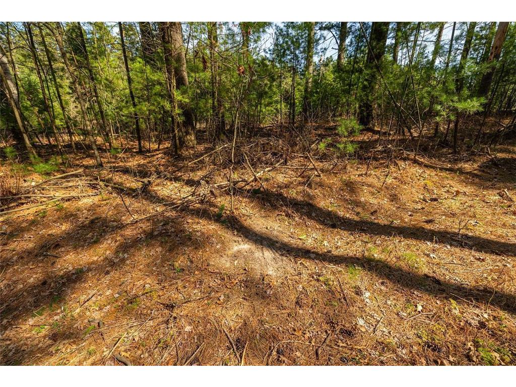 0 Prairie Road East Unity Twp WI 54758 7059090 image64
