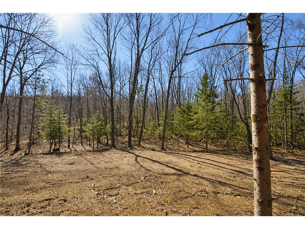 0 Ranch Road Sand Lake Twp WI 54876 - Sissabagama Lake 7061916 image11