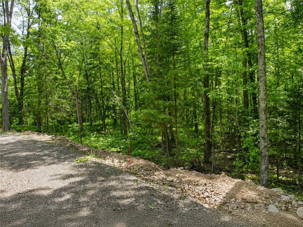 0 Ranch Road Sand Lake Twp WI 54876 - Sissabagama Lake 7061916 image17
