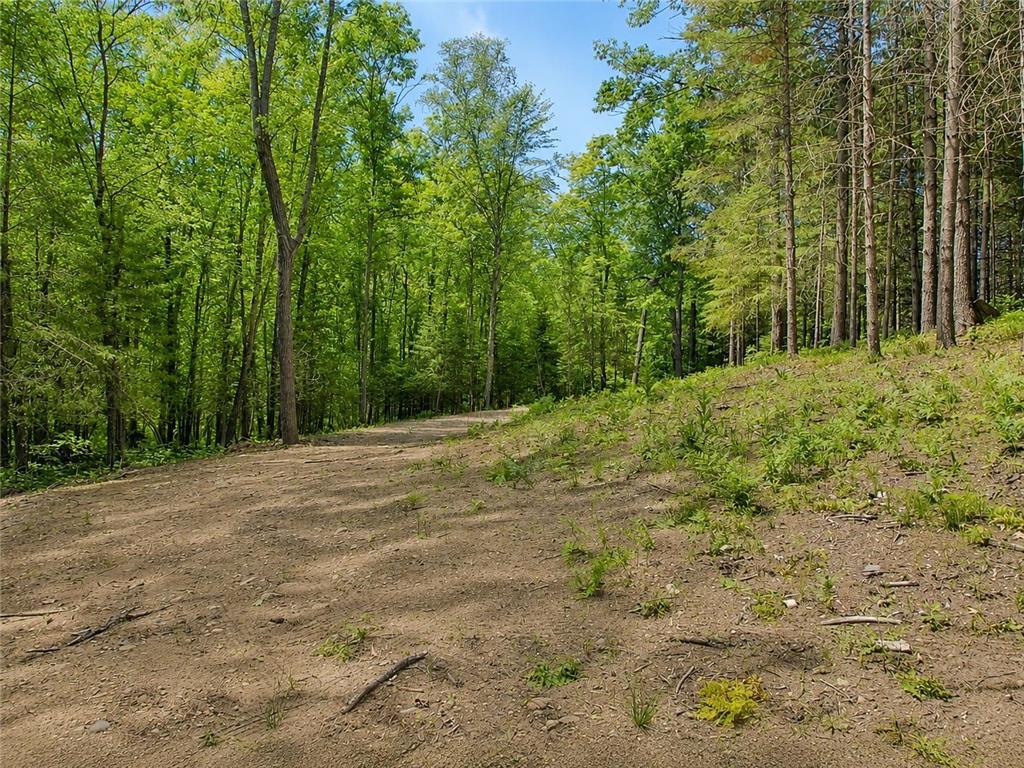 0 Ranch Road Sand Lake Twp WI 54876 - Sissabagama Lake 7061916 image18
