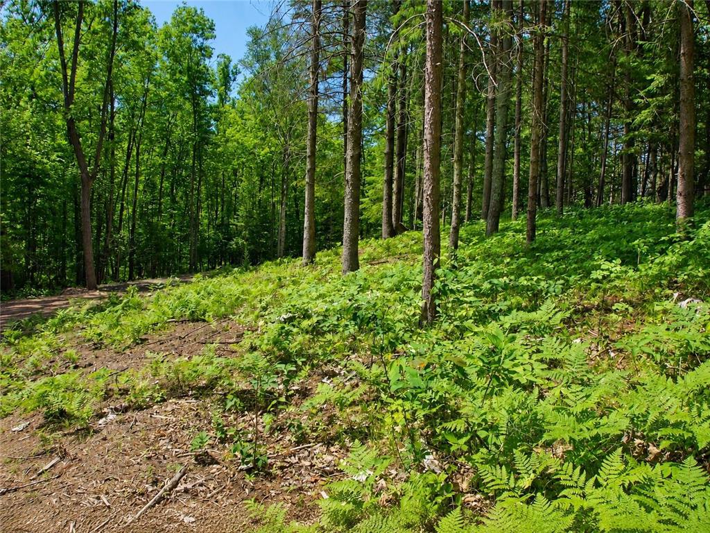 0 Ranch Road Sand Lake Twp WI 54876 - Sissabagama Lake 7061916 image19