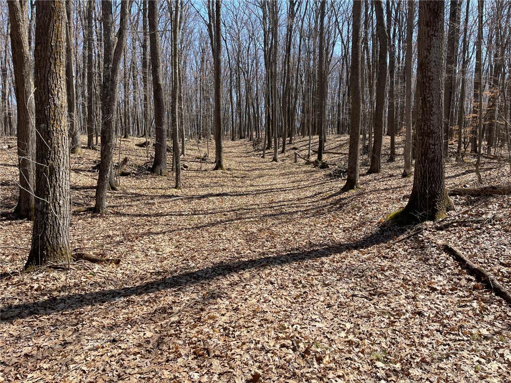 0 Sand Pit Road Trego WI 54888 6711378 image1