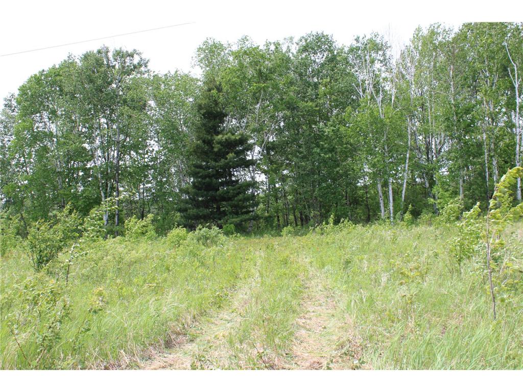  Munch Twp MN 55063 6731654 image1