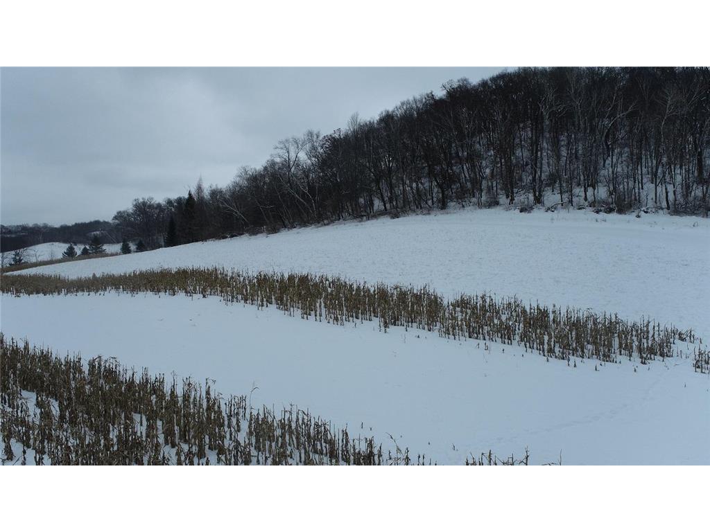 0 State Road 88 Lincoln Twp WI 54610 6327504 image1