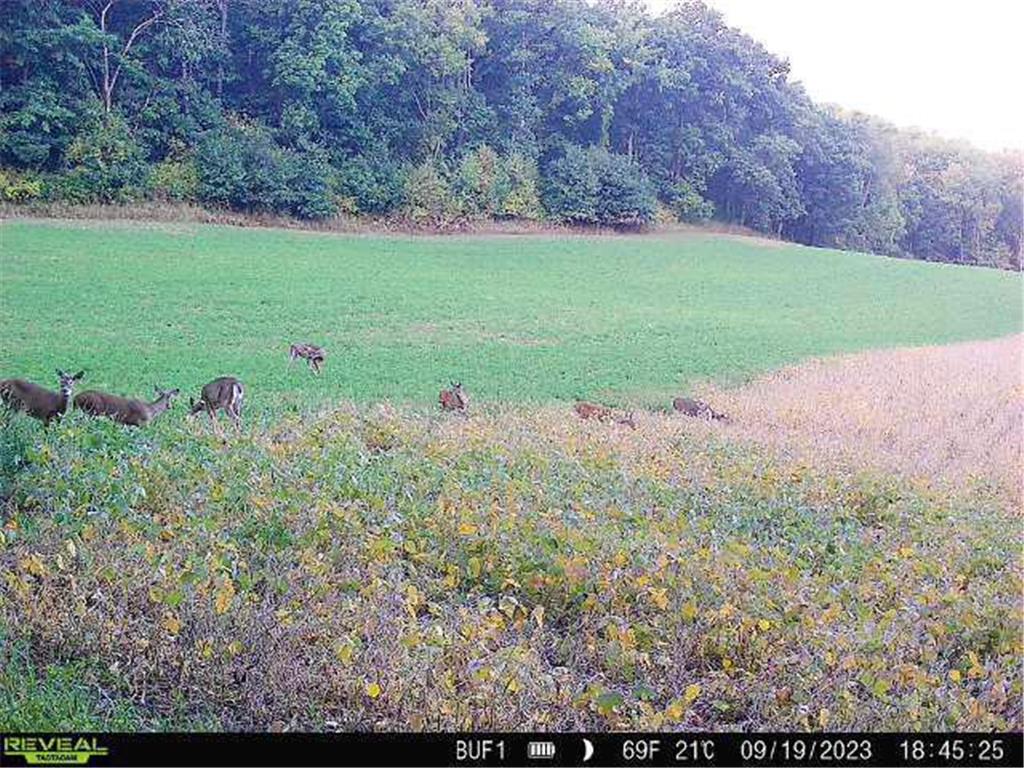 0 Theurer Lane Glencoe Twp WI 54612 7036311 image10