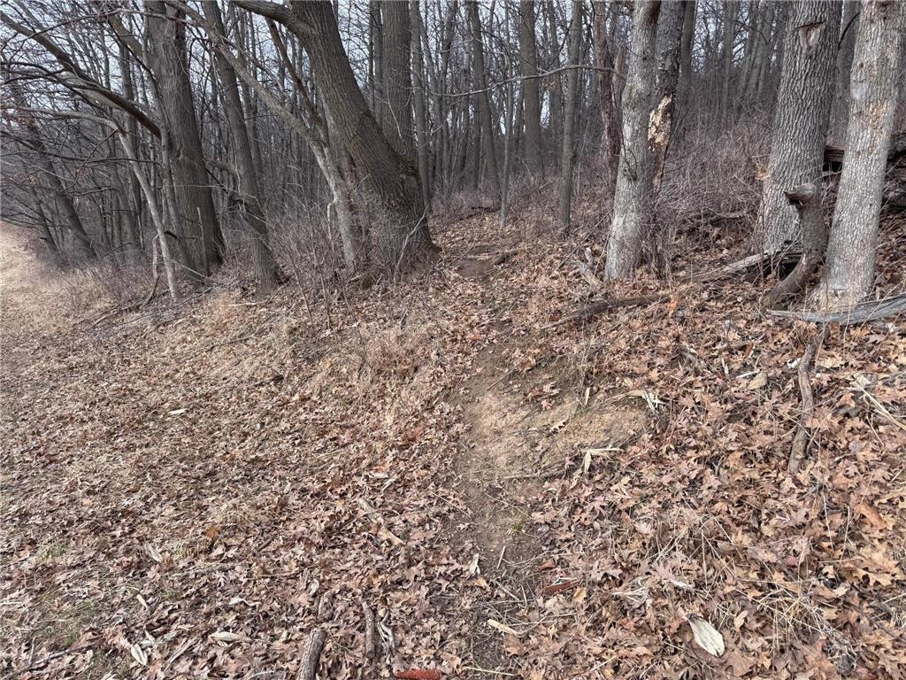 0 Theurer Lane Glencoe Twp WI 54612 7036311 image11