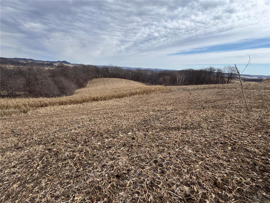 0 Theurer Lane Glencoe Twp WI 54612 7036311 image13