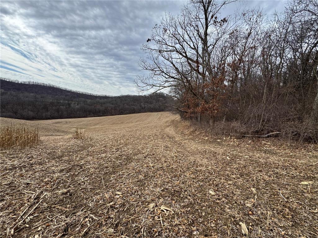 0 Theurer Lane Glencoe Twp WI 54612 7036311 image14