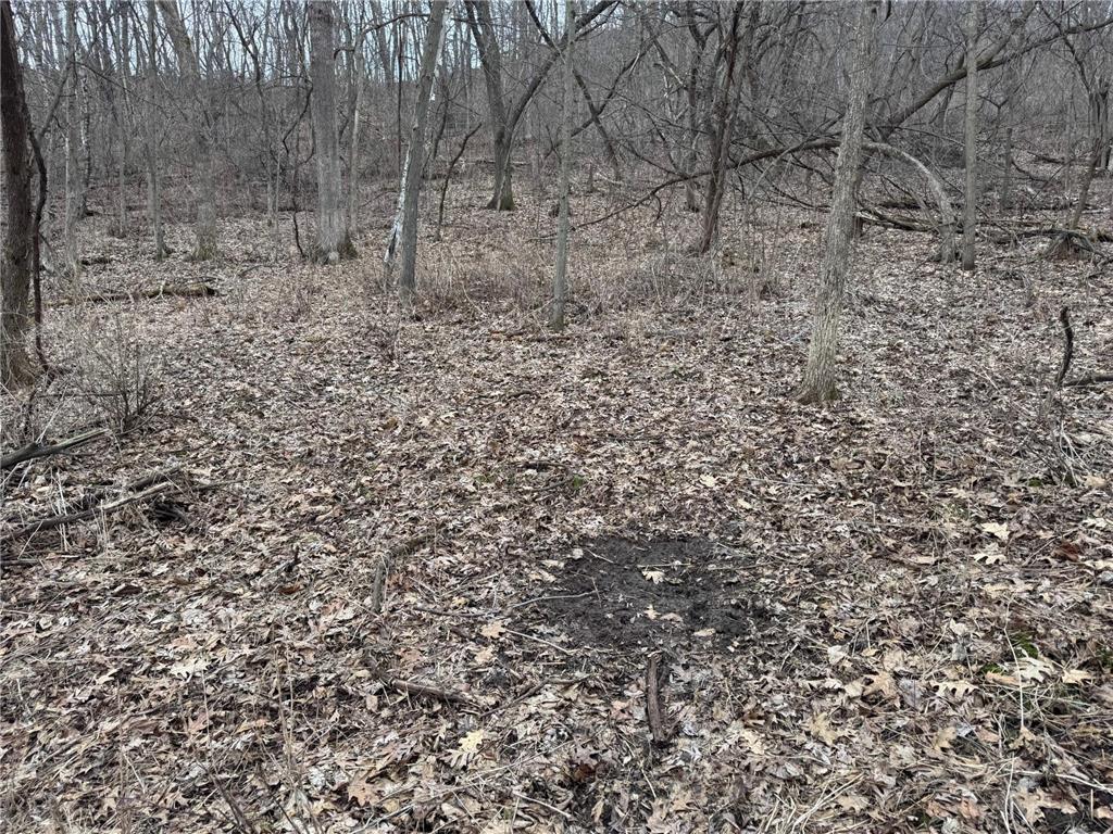 0 Theurer Lane Glencoe Twp WI 54612 7036311 image15