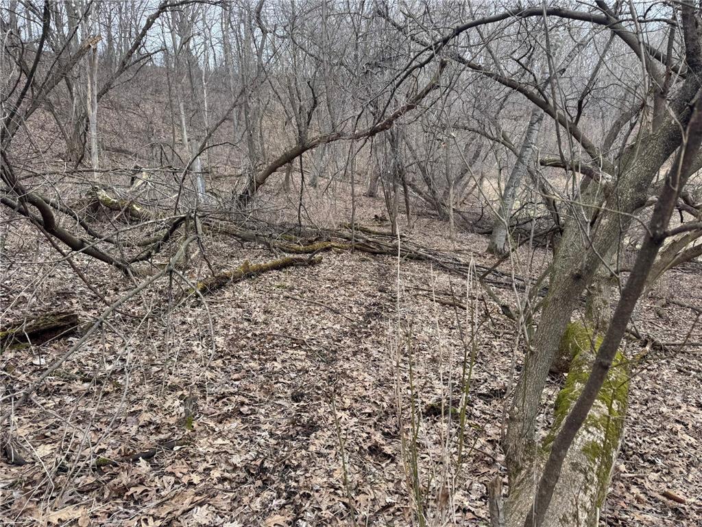 0 Theurer Lane Glencoe Twp WI 54612 7036311 image16