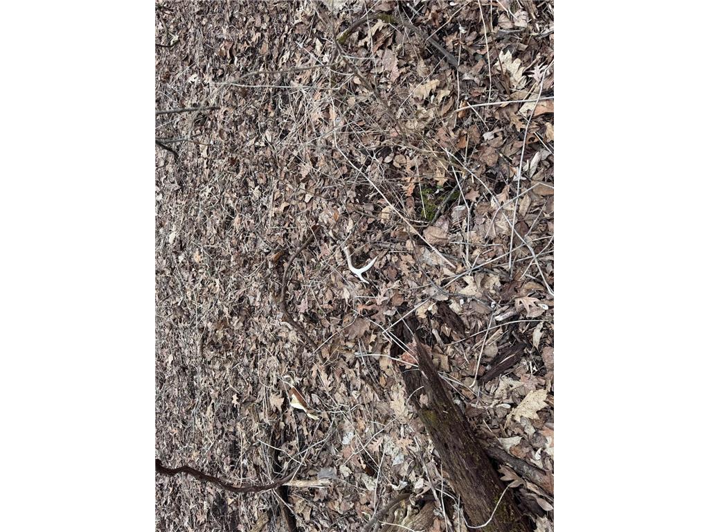 0 Theurer Lane Glencoe Twp WI 54612 7036311 image17