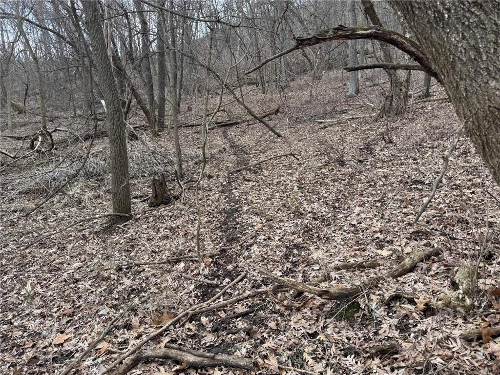 0 Theurer Lane Glencoe Twp WI 54612 7036311 image18